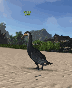 飞扬马背孔雀开屏天涯明月刀ol动物gif签名图