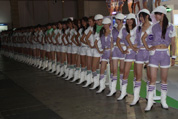 TGS2010΢SHOWGIRLͼ