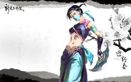 新天下无双2010年个人开创辉煌的开始_网络游戏