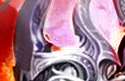 ����֮��_aion