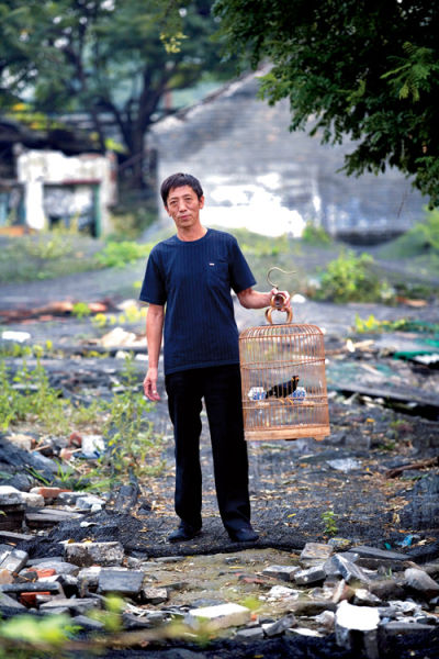 “就剩这一只八哥、一只鹩哥陪着我了，也不知将来住了楼房能不能养。”拆迁让附近逐渐变成了废墟，马师傅没有马上搬走，因为鸟，更是因为自己的恋恋不舍。于东东 摄