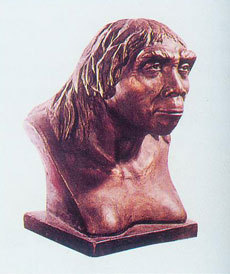 历史谜案:北京人头盖骨究竟下落何处?_历史频道_新浪网