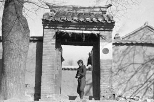 新浪历史图片_新浪历史