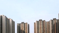 �ɶ������������뵺