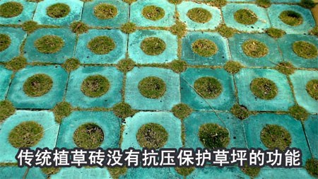 郭溪植草砖_相关信息_温州彩砖厂-温州水泥砖-温州市潘桥晚霞石材加工