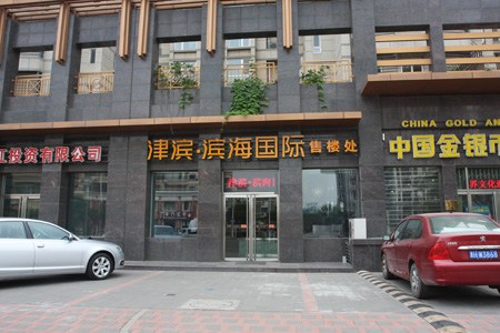 品鉴津滨滨海国际优洋房 项目销售信息(组图)_