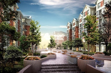 图为项目效果图