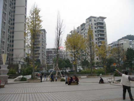 和顺常住人口_常住人口登记卡(3)