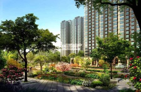 图为项目效果图