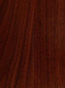 ���ݱ�������6
