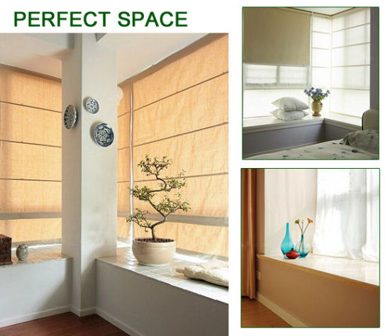 �����ݲ� ������һЩ���µ�׺