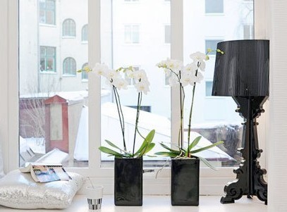 ��Ȼ����������