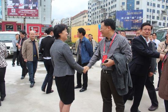 省十一届人大代表视察莆田文献步行街