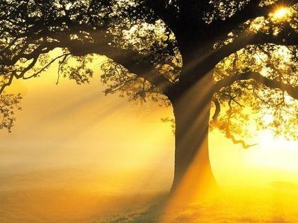 2012年风水运势调整策略