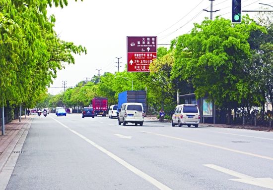 即将进行主道整治的熊猫大道