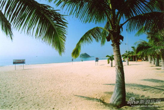 大亚湾:科学规划合理配置 打造蓝色港湾新格局