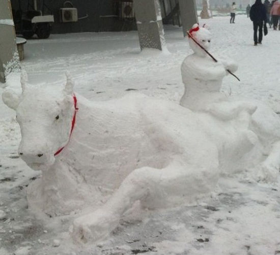 天津下雪 街边惊现牧童骑牛雪人