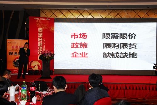 王永冰:旅游地产 网络整合营销方案_活动