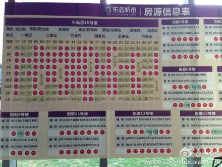 活城市10号楼公开认购30分钟时的房源信息表