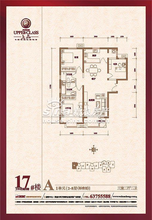 ���껨�� ����չʾ