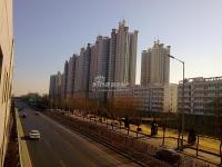 �齭���� ʵ��ͼ ¥��Զ��