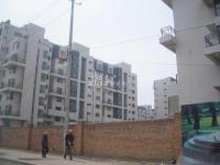 金地格林小镇 实景图 工地实景