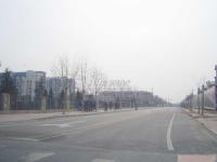 金地格林小镇 实景图 周边道路