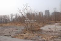 广渠路15号地 实景图 地块实景