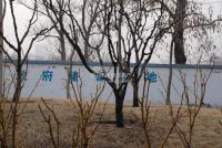 广渠路15号地 实景图 周边实景
