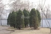 广渠路15号地 实景图 周边实景