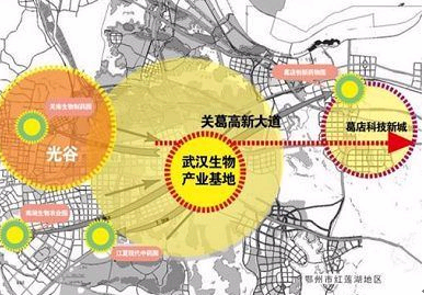 千亿生物谷助推葛店科技新城崛起