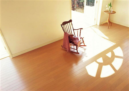 地暖请进家 你准备好了吗_地板