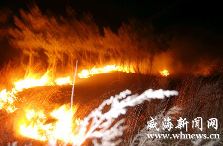 威石线滕家段10日晚发生山火(图)