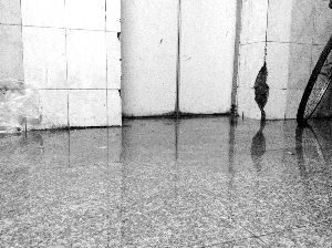 15楼消防水管爆裂水漫大楼 电梯成水帘洞 数十