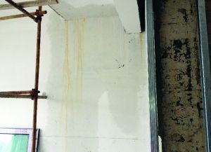 海葵刚去启德又来 买到房漏漏的业主们该有多