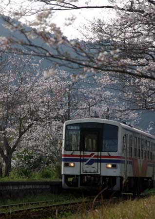 佐贺县(图)_日本_新浪房产_新浪网