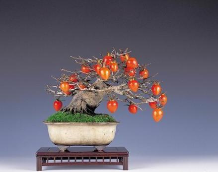 上野小品盆栽展(图)_日本