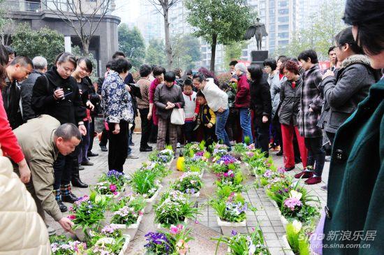 图为家庭创意盆栽大赛活动现场