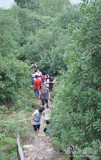 夏日果缤纷 融创亚美利加业主杨梅采摘活动_活