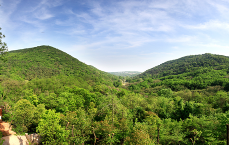 从紫金山到老山城市山居 万科金色半山南京最