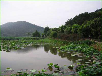 马鞍山森林公园