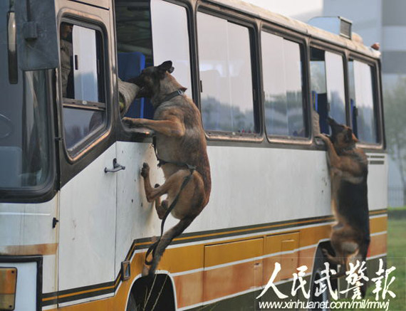 �����ˡ��ڴ�ͳ��ϣ�������Ըɽ���˵�������������ſھ�����    ͼƬ��Դ�������侯���������ޡ���