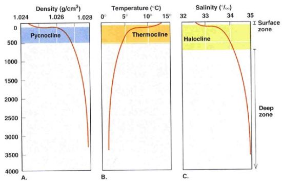 ͼˮܶԾ(Pycnocline)¶Ծ(Thermocline)ζԾ(Halocline) 