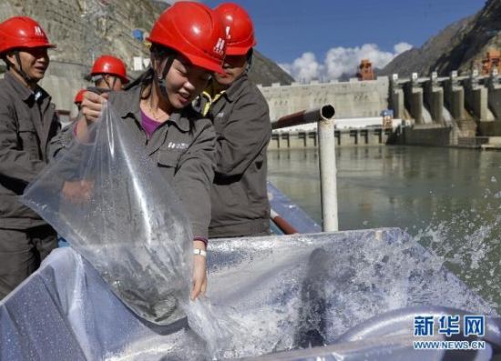 0��15�գ�������ɽ�ϵ����Ӳ��صĻ��ܲ�ľˮ��վ��������Ա����ϡ�����������ˮ�С����գ����ػ��ܲ�ľˮ��վ��5.3��β��ϡ����������õ�վ����������ʽ������ϡ������ֳ����������ܲ�ľˮ��վ���Ҳ��ͬһ�����ã�Ϊ������վ����������ϡ���෢�ӻ������á�Ϊ����ˮ��վ���������深�ܵĸ���Ӱ�죬��ľˮ��վ��ȡ��ֳ��������������ȴ�ʩ����������ϡ������Դ���б����Ͳ��䣬������ֳ����վ�ƻ�ÿ������10��β��ϡ���༯�з�����