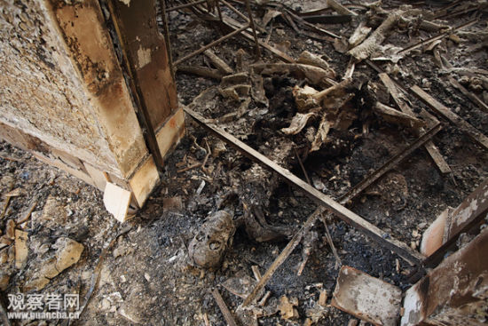 ������Ϯ�������ź�