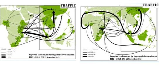 2009年-2011年和2012年-2013年全球大宗象牙走私路线图。(图片来源:TRAFFIC)