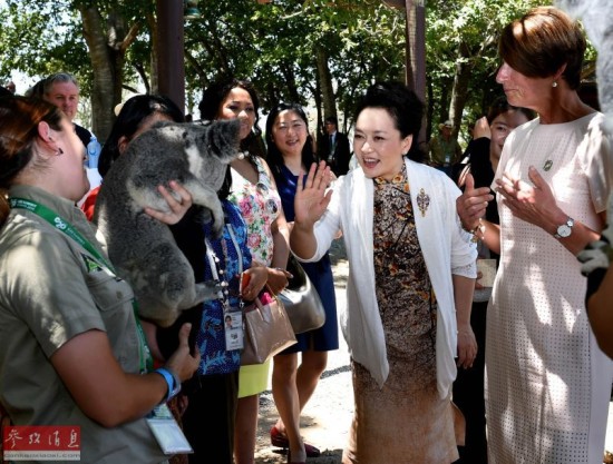 �վ��������쵼��"Χ��"��ý:G20�ڶ����п�Ļ