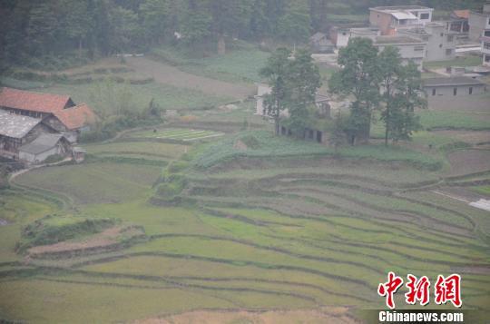 BBC：希腊战机西班牙空军基地坠毁10人身亡