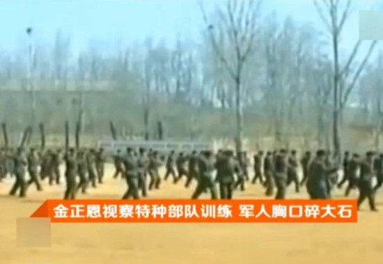 这只是个简单戏法:揭开武术师劈砖断木的科学真相
