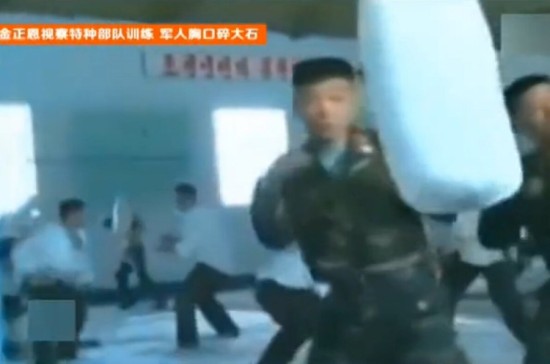 这只是个简单戏法:揭开武术师劈砖断木的科学真相